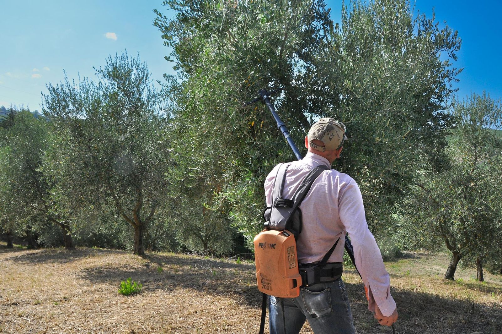 Bio Green Jumbo - Serra Riscaldata Per Coltivazione Con Termostato - Foto 6